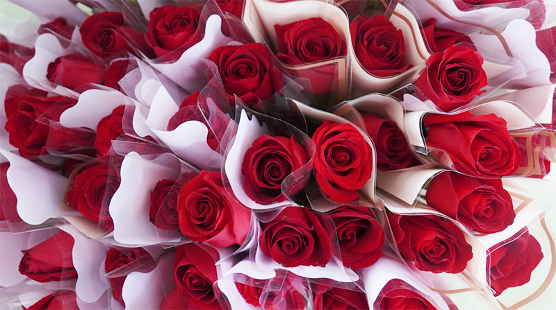 致敬女性力量：做不被定義的“她”！